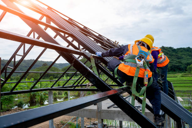 Best Roof Repair Services  in Black Earth, WI