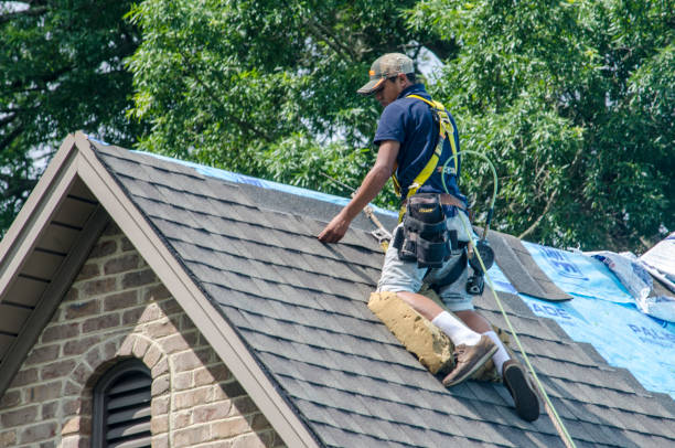 Best Gutter Installation and Roofing  in Black Earth, WI